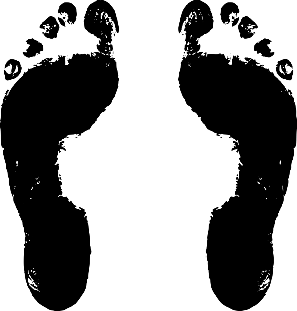 pés - unidade de medida