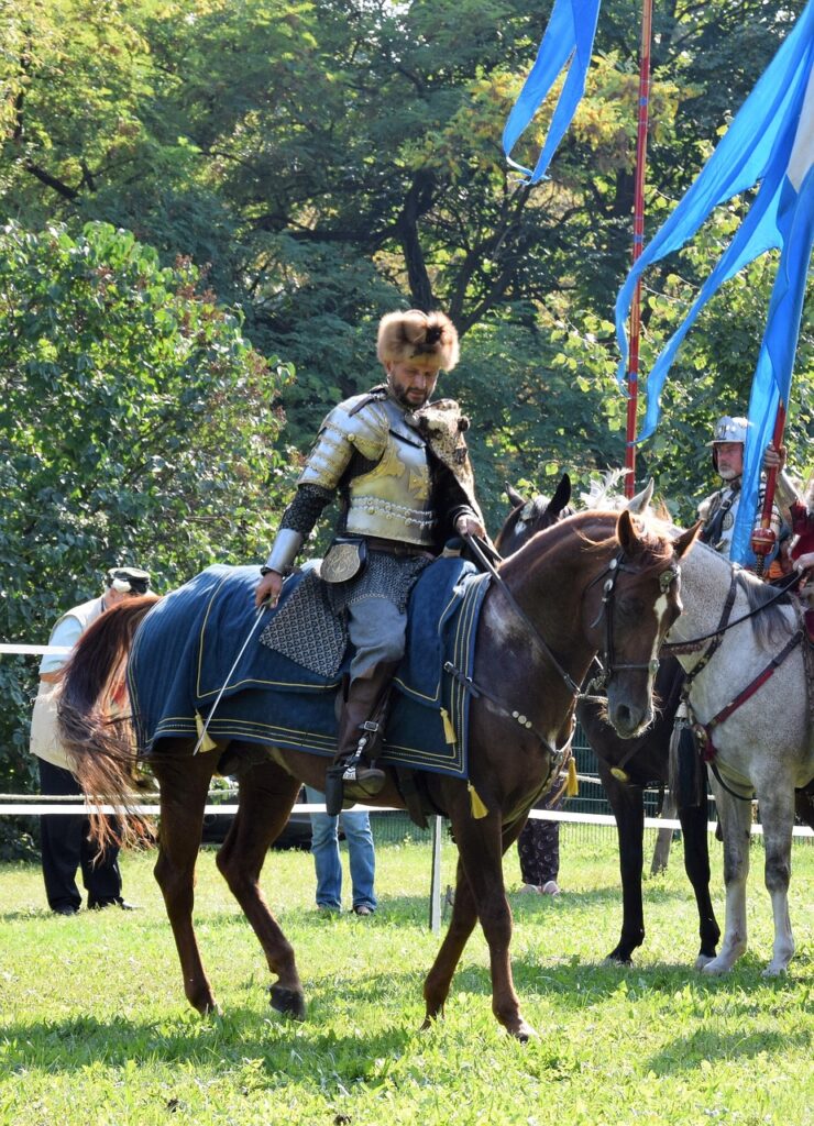 Fantasia de cavaleiro 2